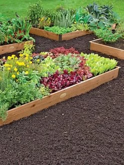 2' Raised Beds