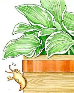 Copper Slug Tape -Garden Care Shop 38 994 b