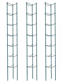 Tomato Ladders, Set Of 3 -Garden Care Shop 38184 002E psd