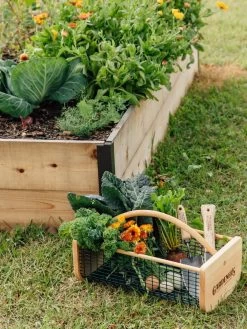 Garden Hods 8 Garden Hods -Garden Care Shop 39 761 572 tif