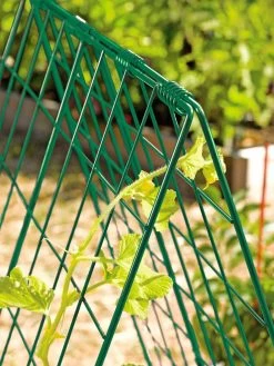 Deluxe Cucumber Trellis 11 Deluxe Cucumber Trellis -Garden Care Shop 39806 GR edit tif