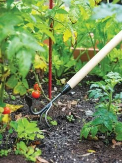 Gardener's Lifetime Long-Handled Double Tool 7 Gardener's Lifetime Long-Handled Double Tool -Garden Care Shop 3 4 crop 8592107 2460 tif