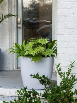 Viva Round Self-Watering Rolling Planter, 20" Diameter, Set Of 2 -Garden Care Shop 3 4 crop 8612933 0025 tif