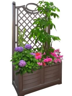 Separate Flower Box With Trellis -Garden Care Shop 3 4 crop 8613626 04V