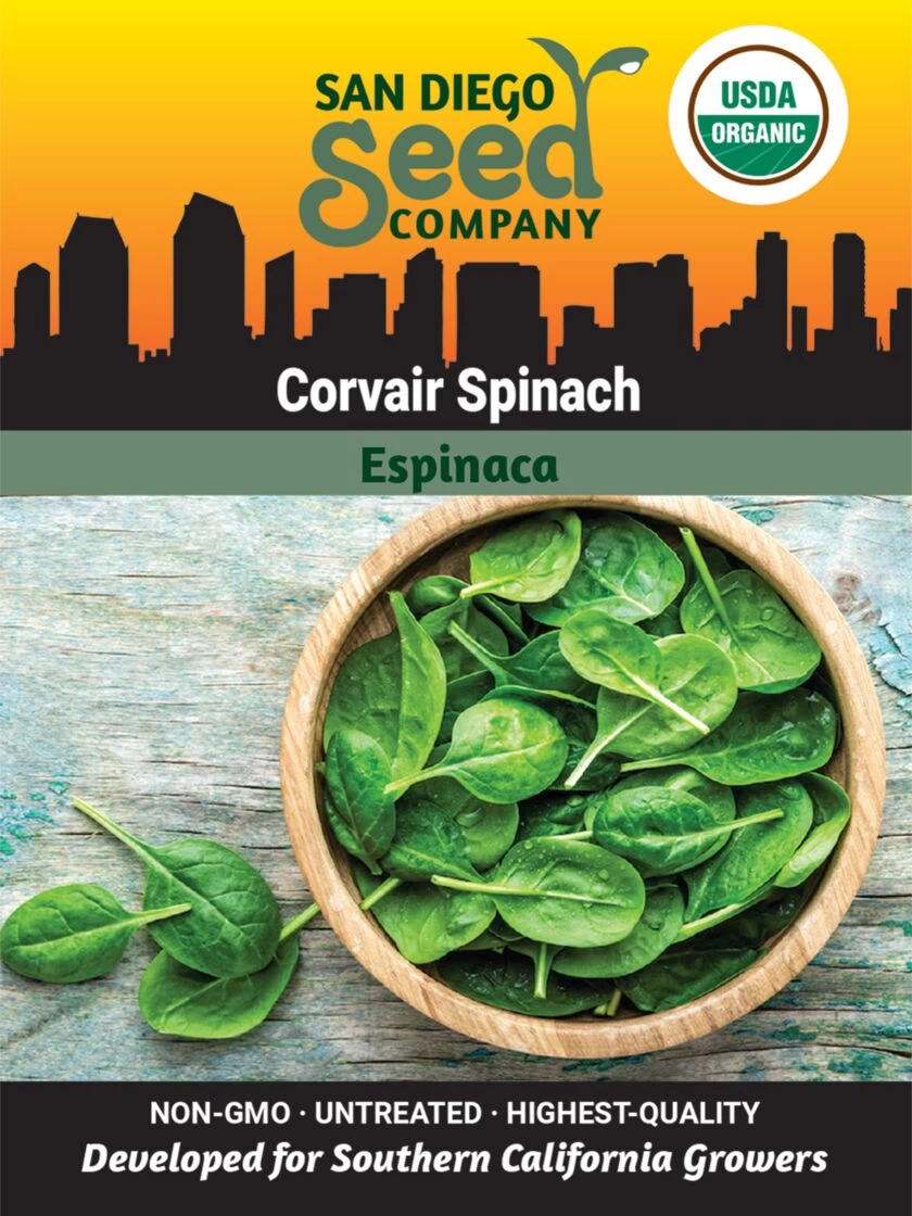 Corvair Spinach Organic Seeds 1 Corvair Spinach Organic Seeds