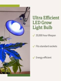 Miracle LED® Grow Light Bulb, Blue -Garden Care Shop 3 4 crop Miracle Bulb Blue 1