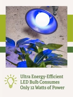 Miracle LED® Grow Light Bulb, Blue -Garden Care Shop 3 4 crop Miracle Bulb Blue 2