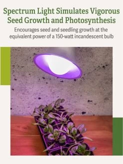 Miracle LED® Grow Light Bulb, Red And Blue 10 Miracle LED® Grow Light Bulb, Red And Blue -Garden Care Shop 3 4 crop Miracle Bulb RB 3