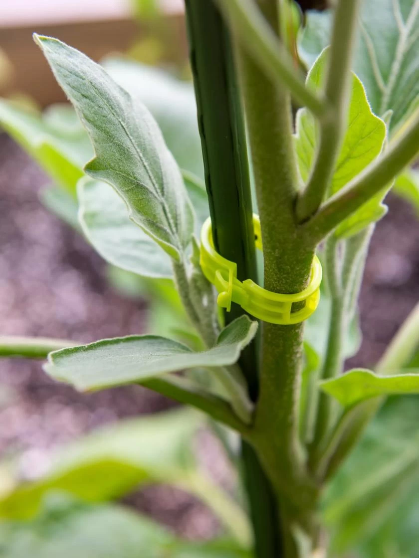 Garden Clips, Set Of 48 2 Garden Clips, Set Of 48 - Image 2