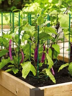 Pepper And Eggplant Stakes, Set Of 3 -Garden Care Shop 40308 2116 tif