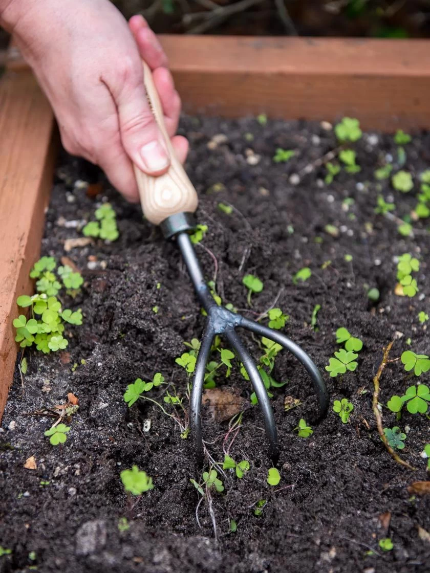 Gardener's Lifetime Cultivator 2 Gardener's Lifetime Cultivator - Image 2