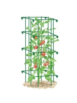 Tomato Cage, Single -Garden Care Shop 8587039 TomatoCage GRN tif