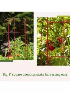 Tomato Cages, Set Of 4 -Garden Care Shop 8587040 2