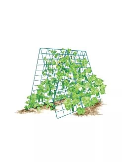Deluxe Cucumber Trellis 15 Deluxe Cucumber Trellis -Garden Care Shop 8587083 001 BLUE Cukes two sided deluxe cucumber trellis support storm blue 3 4