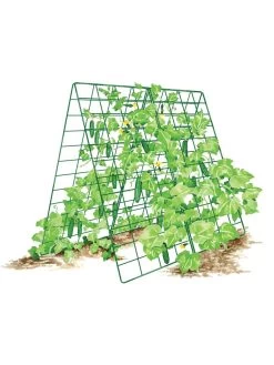 Deluxe Cucumber Trellis 14 Deluxe Cucumber Trellis -Garden Care Shop 8587083 001 GRN tif