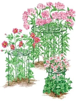 Grow Through Supports, Set Of 3