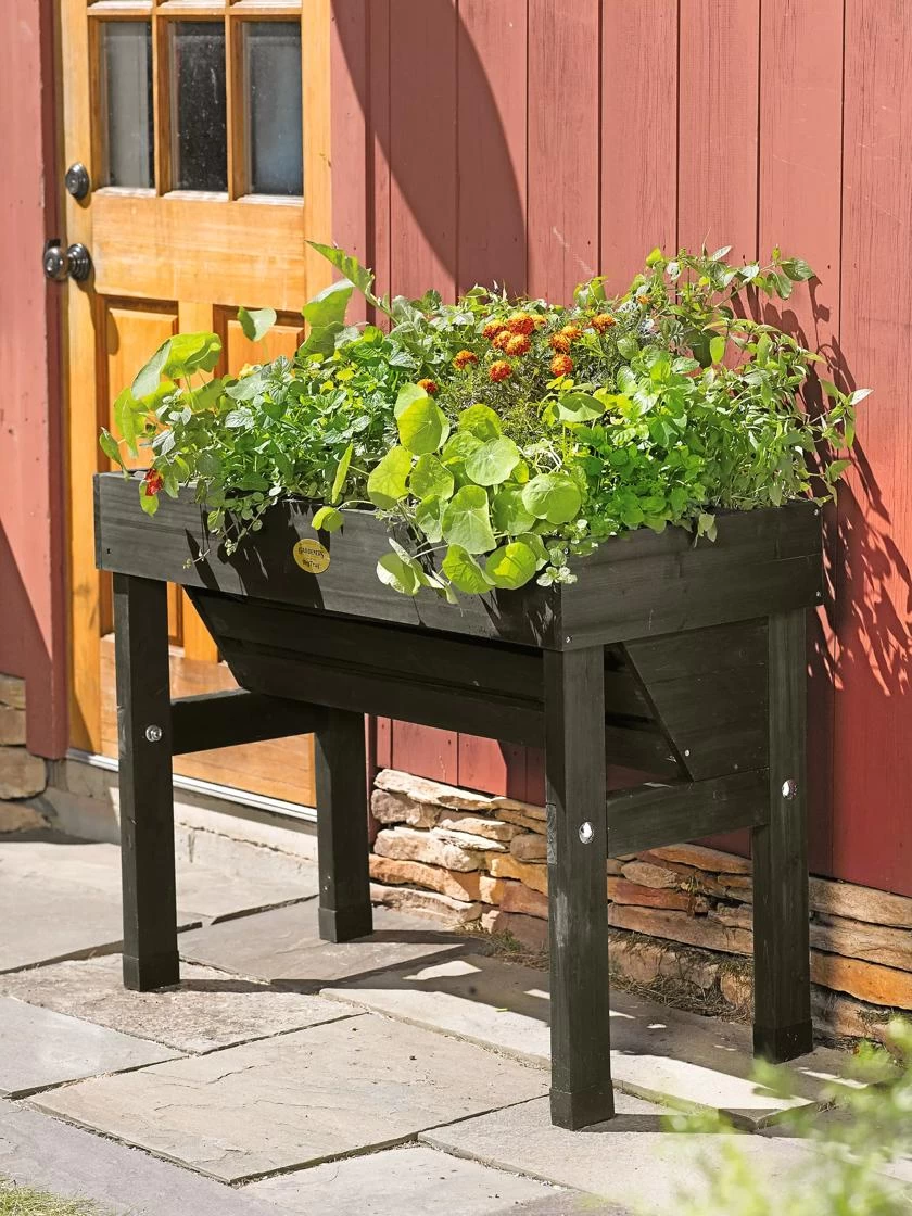 VegTrug® Wallhugger, 18" X 40" 2 VegTrug® Wallhugger, 18" X 40" - Image 2