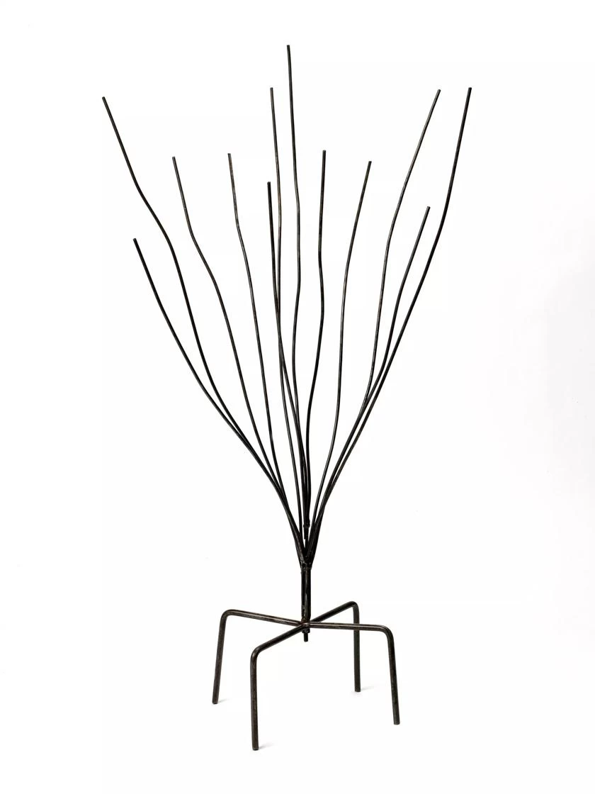 Bottle Bush 3 Bottle Bush - Image 3