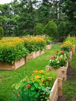 Farmstead Cedar Raised Garden Beds, 2' 11 Farmstead Cedar Raised Garden Beds, 2' -Garden Care Shop 8588137 05V tif
