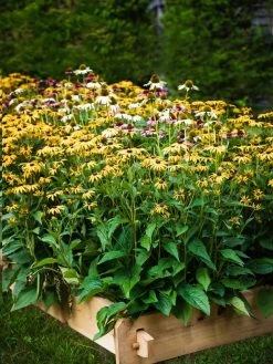 Farmstead Cedar Raised Garden Beds, 2' 15 Farmstead Cedar Raised Garden Beds, 2' -Garden Care Shop 8588144 014V tif