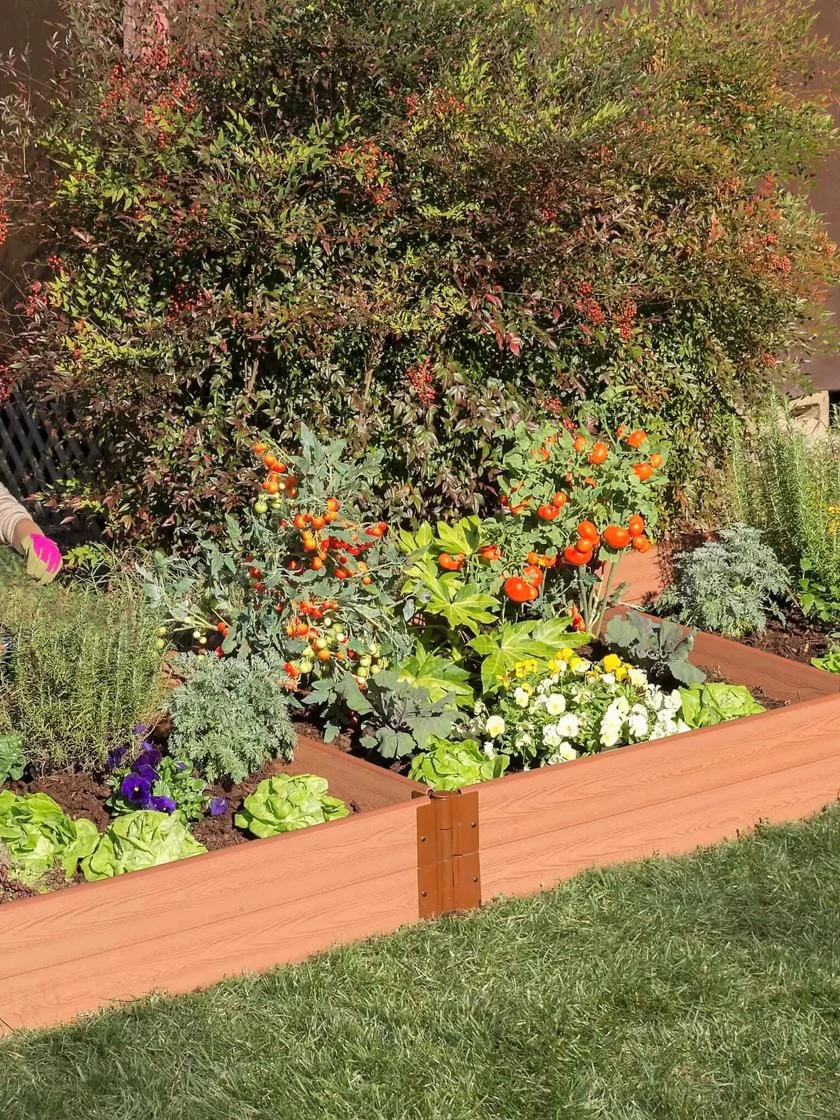 Composite Raised Bed With 1" Boards, 11" 9 Composite Raised Bed With 1" Boards, 11" - Image 9