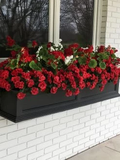 Fairfield Self-Watering Window Box, 5’ 16 Fairfield Self-Watering Window Box, 5’ -Garden Care Shop 8588938 100V tif