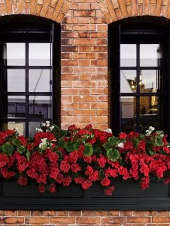 Fairfield Self-Watering Window Box, 5’ 12 Fairfield Self-Watering Window Box, 5’ -Garden Care Shop 8588938 102V tif