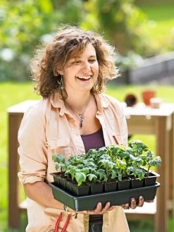 Growease Seed Starter Kit 16 Growease Seed Starter Kit -Garden Care Shop 8589987 0446 tif