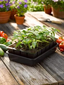 Growease Seed Starter Kit 14 Growease Seed Starter Kit -Garden Care Shop 8589987 1148 tif