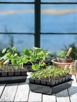 Growease Seed Starter Kit 19 Growease Seed Starter Kit -Garden Care Shop 8589987 7871 tif