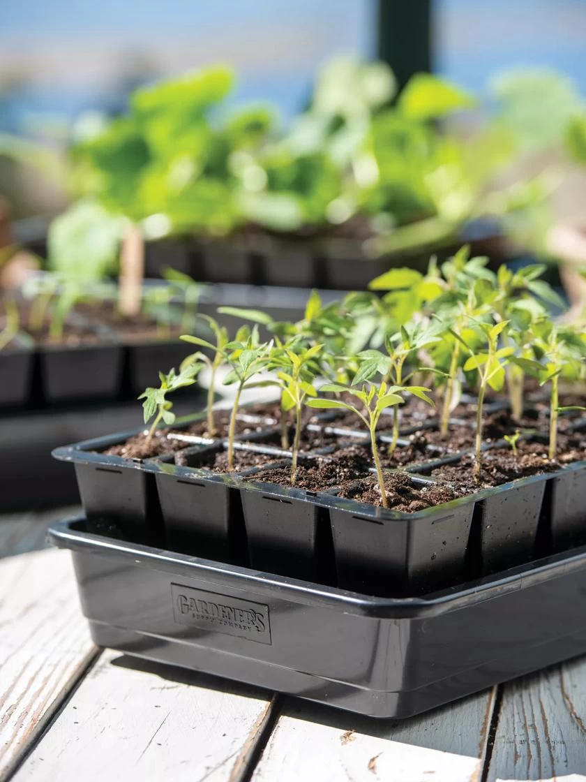 Growease Seed Starter Kit 2 Growease Seed Starter Kit - Image 2