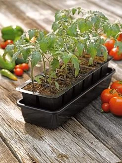 Growease Seed Starter Kit 13 Growease Seed Starter Kit -Garden Care Shop 8589988 1056 tif