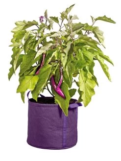 Gardener's Best® Universal Grow Bag -Garden Care Shop 8590024PR 214 tif