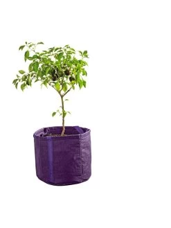 Gardener's Best® Universal Grow Bag -Garden Care Shop 8590024PR 249 tif