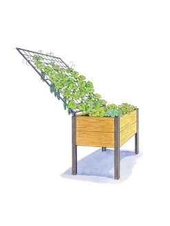 Elevated Planter Box And Space-Maker Pivoting Trellis Set, 2' X 4' -Garden Care Shop 8590247 SMTrellis 4ft tif 1