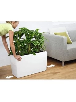 Lechuza® Cararo Rectangular Indoor Planter With Casters -Garden Care Shop 8590295 03v