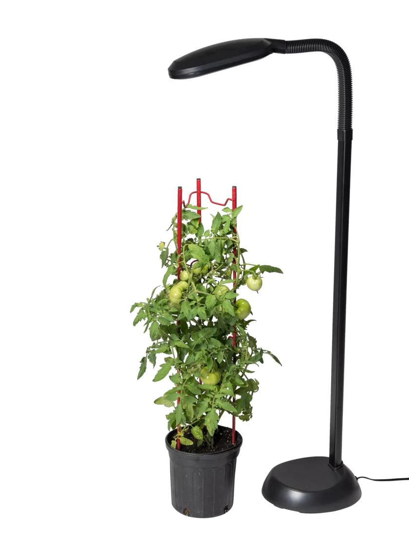 Agrobrite Floor Plant Lamp 2 Agrobrite Floor Plant Lamp - Image 2
