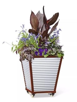 Galvanized Self-Watering Planters 8 Galvanized Self-Watering Planters -Garden Care Shop 8592177 5066 tif