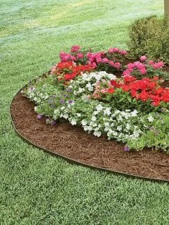 EasyFlex™ No Dig Edging, 50' -Garden Care Shop 8592452 004V 3 4