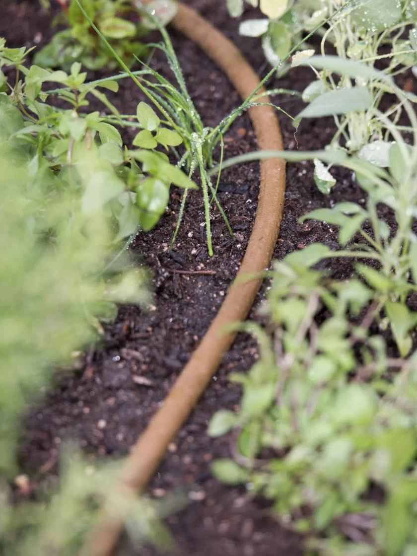 Premium 1/2" Soaker Hose 4 Premium 1/2" Soaker Hose - Image 4