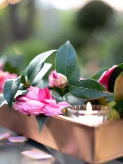 Rectangular Copper Plant Tray, 18"x4" 7 Rectangular Copper Plant Tray, 18"x4" -Garden Care Shop 8593532 02IN tif