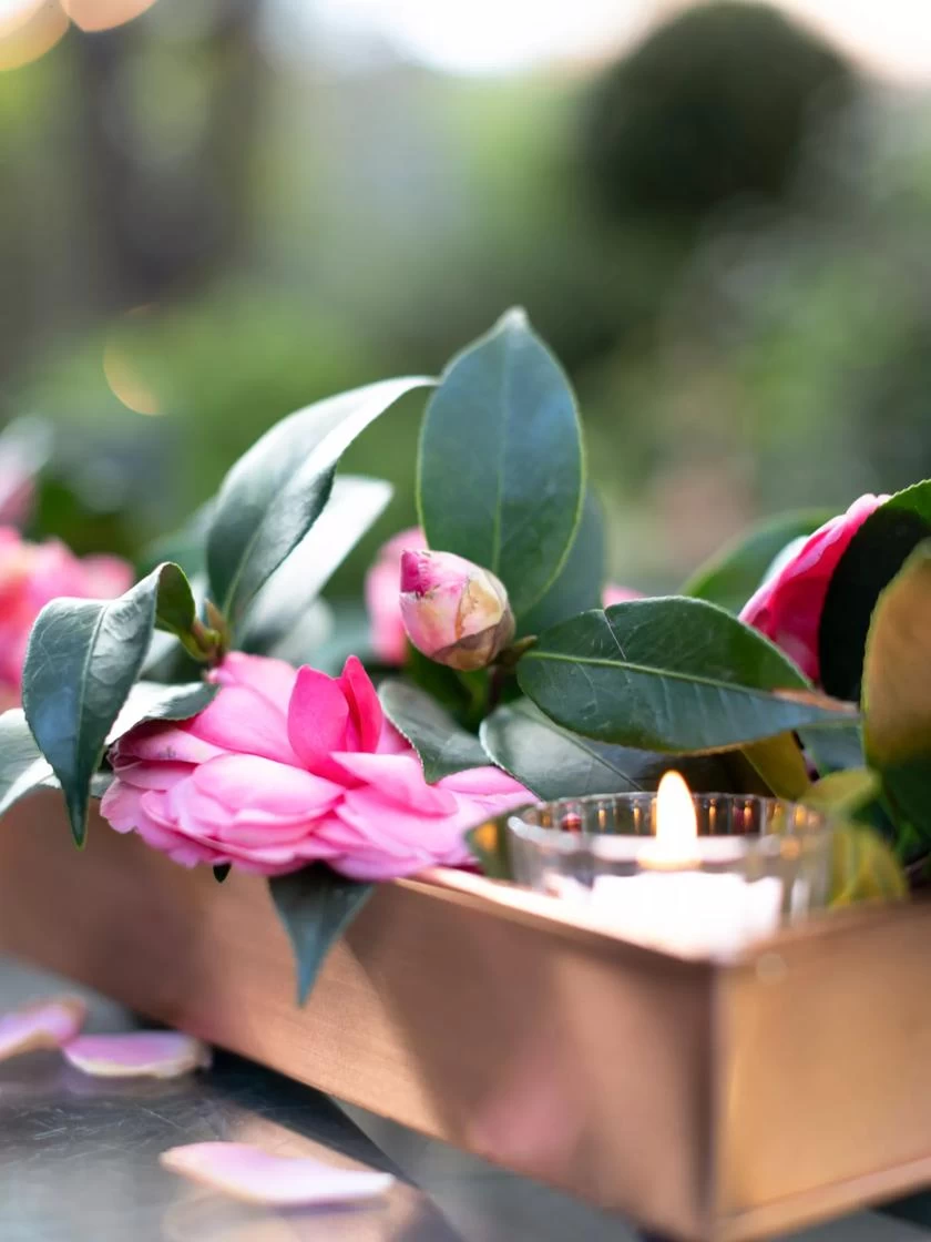 Rectangular Copper Plant Tray, 18"x4" 4 Rectangular Copper Plant Tray, 18"x4" - Image 4