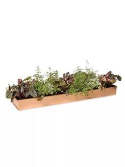 Rectangular Copper Plant Tray, 24" X 5" -Garden Care Shop 8593533 2878 tif