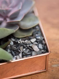 Rectangular Copper Plant Tray, 24" X 5" -Garden Care Shop 8593533 4570 tif