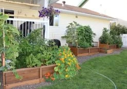 OLT Raised Cedar Garden Bed, 3' X 6' 9 OLT Raised Cedar Garden Bed, 3' X 6' -Garden Care Shop 8594002 03V tif