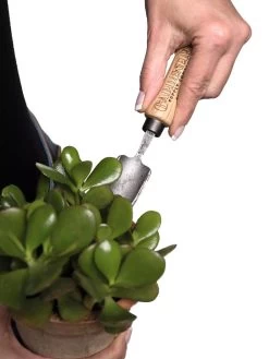 Gardener's Lifetime Mini Trowel 6 Gardener's Lifetime Mini Trowel -Garden Care Shop 8594146 0111 tif