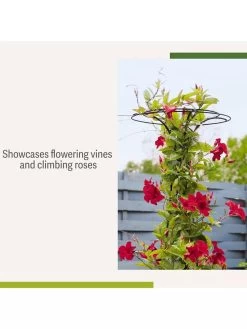 Essex Tuteur, 63" -Garden Care Shop 8594162 4