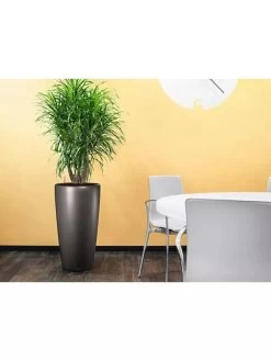 Lechuza® Rondo Self-Watering Planters 6 Lechuza® Rondo Self-Watering Planters -Garden Care Shop 8594586 02V tif