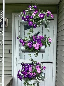 Galvanized Hanging Triple Planter -Garden Care Shop 8595213 02CUST tif