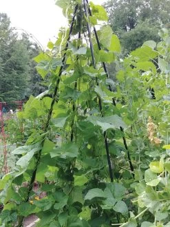 Titan Teepee Trellis -Garden Care Shop 8595757 01EMP tif